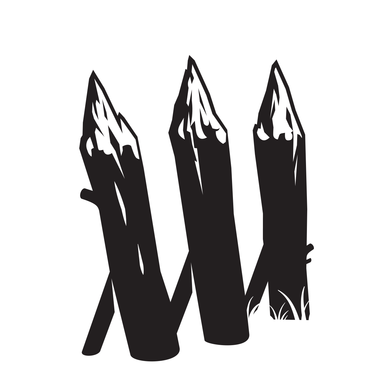 Bulwark Studios